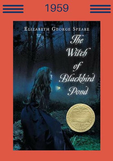 The witch of blackbird pond