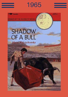 shadow of a bull