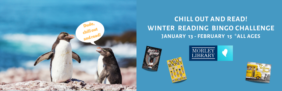 Chill Out and Read! Beanstack Winter Reading Bingo Challenge for All Ages