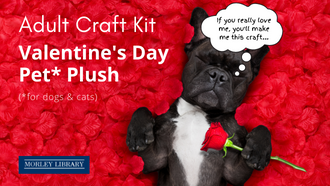 Adult and Teen Craft Kit: Valentine's Day Pet Plush