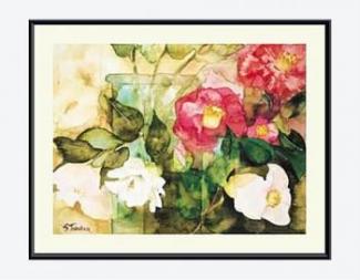 Camellias (Shirley Trevena)